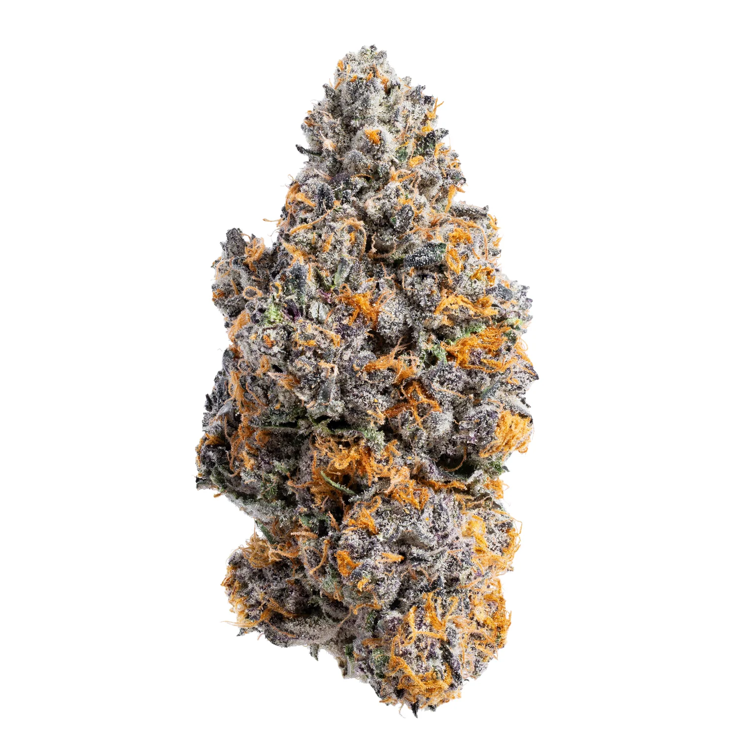 Baby J's: Biscotti Guava - 5 x 0.5g - Image 3