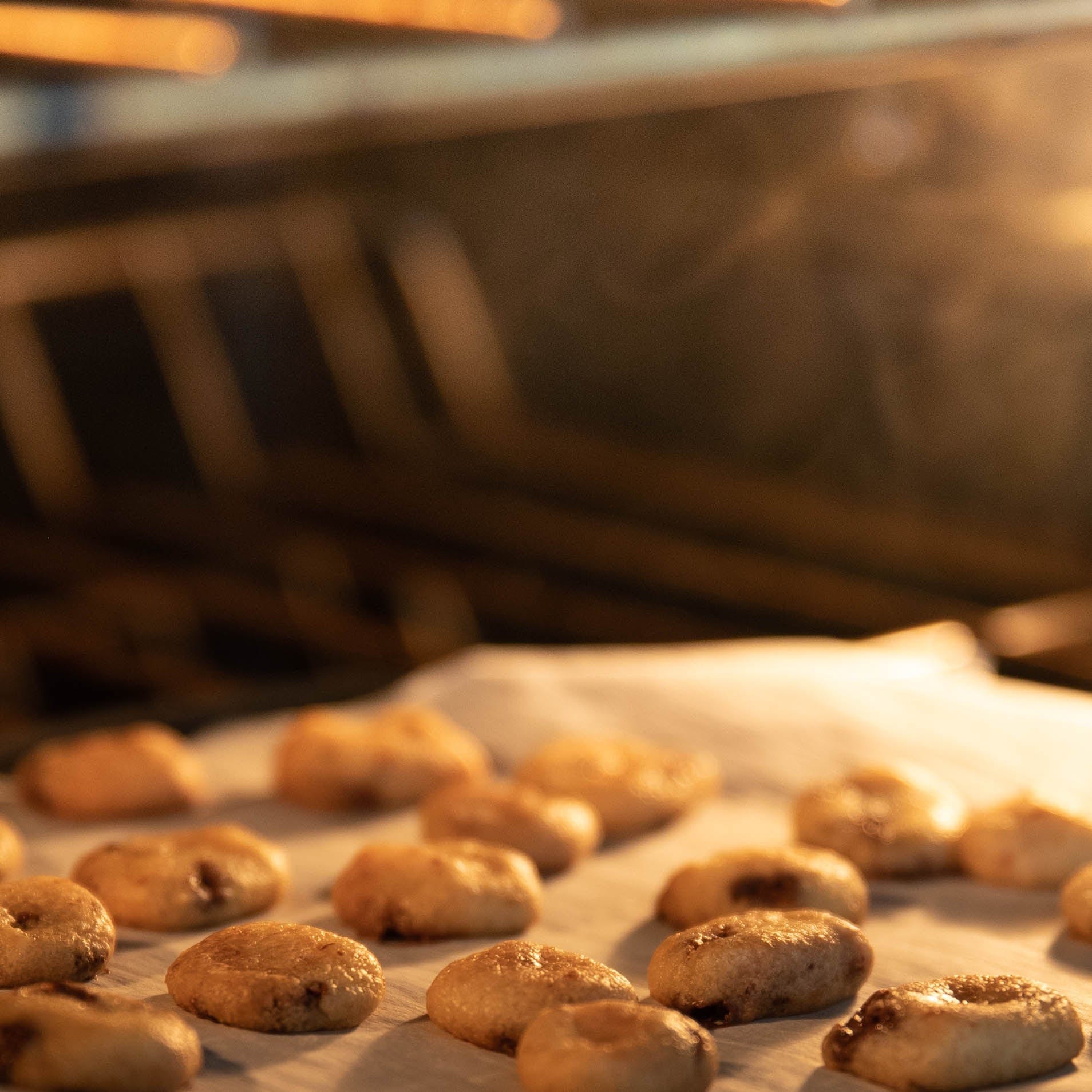 DOPE DOUGH - CHOCOLATE CHIP D8 - Image 4